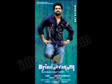 brindavanam