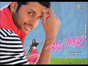 chinnadananeekosam